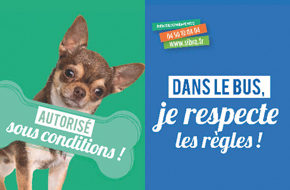 Chiens acceptés sous conditions