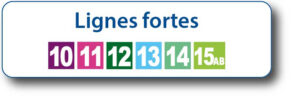 Lignes fortes