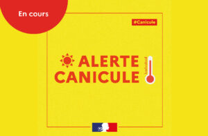 Alerte canicule
