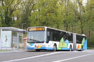 Bus sur boulevard urbain 